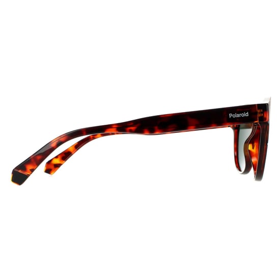Polaroid Round Unisex Dark Havana Green Polarized Sunglasses