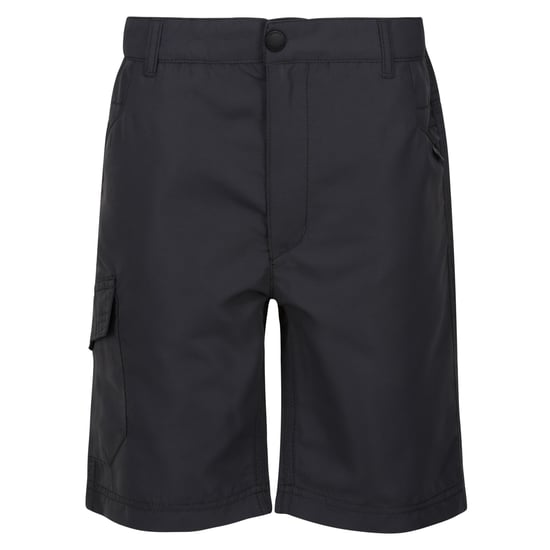 Regatta Childrens/Kids Sorcer II Shorts (Seal Grey)