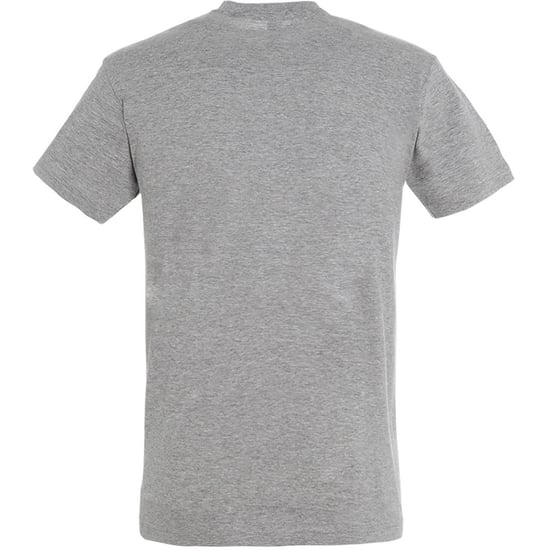 SOLS Herren Regent T-Shirt mit kurzen Ärmeln (grau meliert) - Image 2