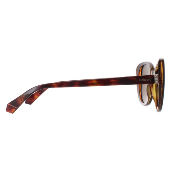 Polaroid Butterfly Womens Havana Bronze Polarized PLD 4154/S/X