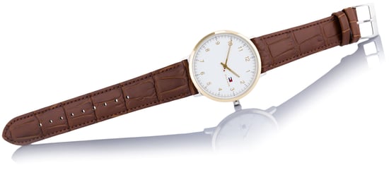 Tommy Hilfiger James Men's Brown Watch 1791340