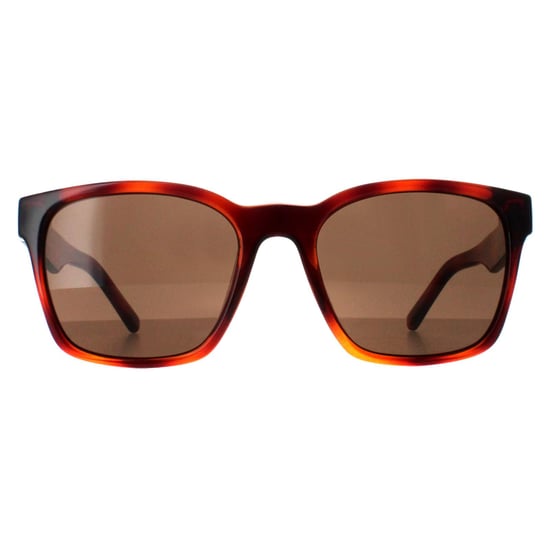 Salvatore Ferragamo Square Womens Tortoise Brown SF959S