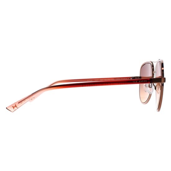 Ted Baker Aviator Womens Copper Brown Brown Gradient TB1644 Sunnia