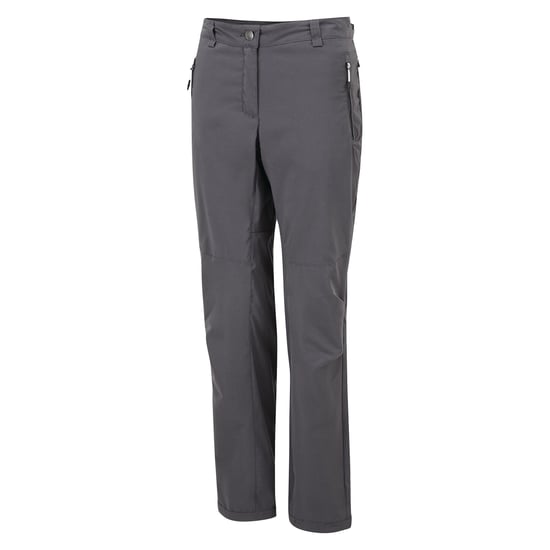 Dare2b Womens/Ladies Melodic II Lightweight Stretch Walking Trousers (Ebony Grey)
