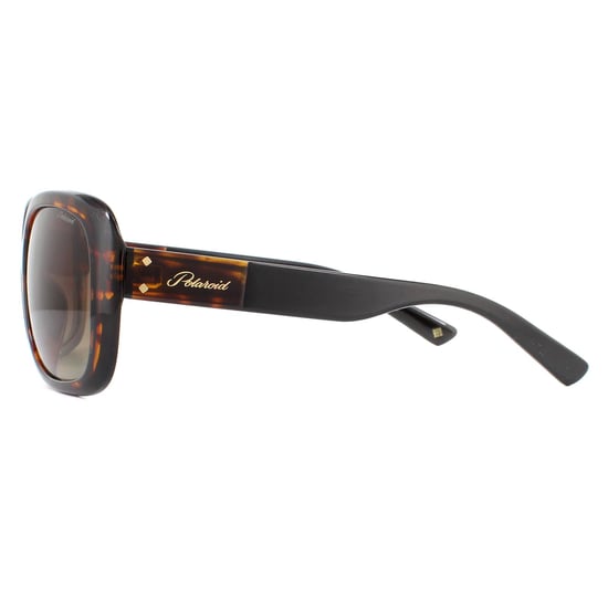 Polaroid Sonnenbrille PLD 4069/G/S/X 086 LA Havana Braun Farbverlauf Polarisierend - Image 3