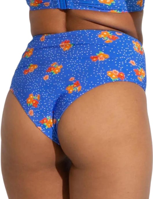 Pour Moi Santa Cruz Bikini Briefs