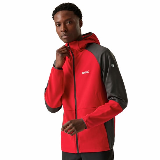 Regatta Mens Molaris Full Zip Fleece Jacket (Danger Red/Ash)