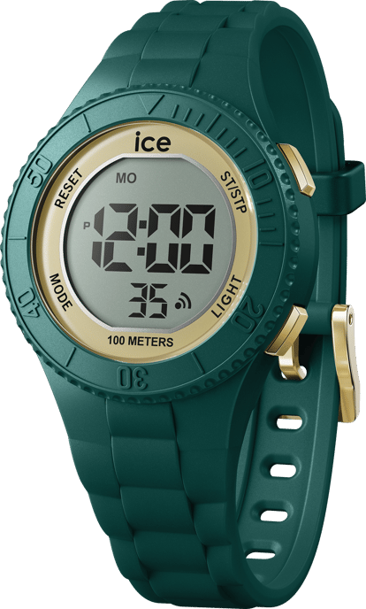 Ice Watch Ice Digit - Verdigris Gold Grau Kind Armbanduhr 021619 - S - Image 1