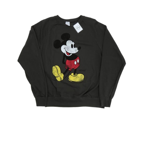 Disney - Sweatshirt für Herren (Hellgrau) - Image 1