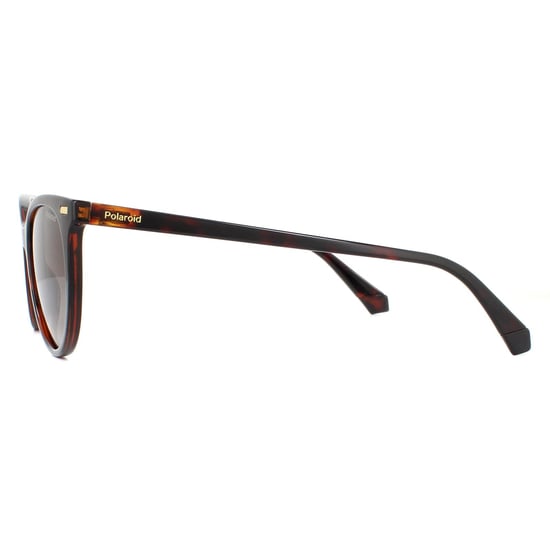 Polaroid Cat Eye Womens Havana Brown Gradient Polarized Sunglasses