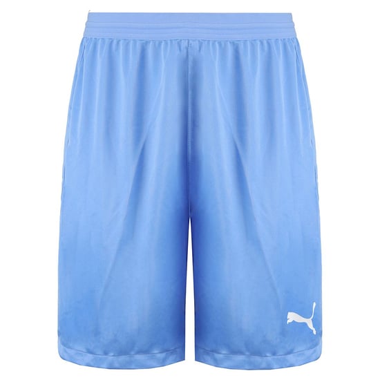 Puma DryCell TeamFinal 21 Stretch Waist Mens Light Blue Shorts 704257 18