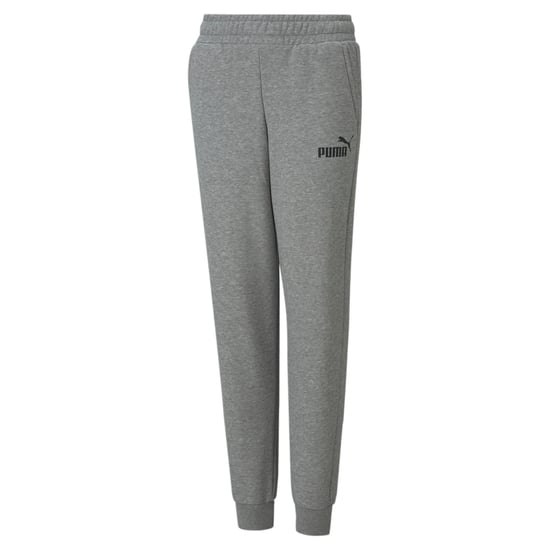 PUMA Essentials Logo Youth Pants
