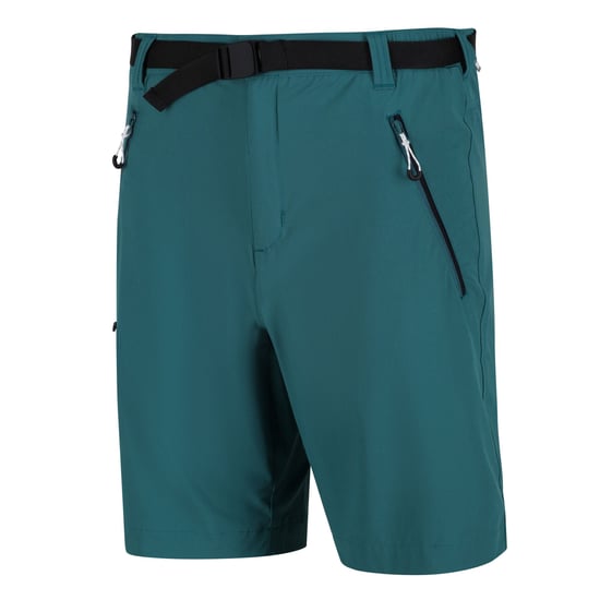Regatta - "Xert III" Shorts für Herren (Pazifikgrün) - Image 3