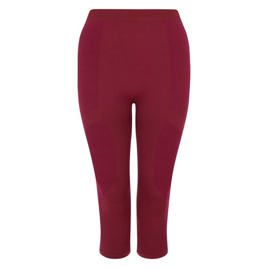 Dare 2B Womens/Ladies In The Zone II Panel 3/4 Leggings (Fig)
