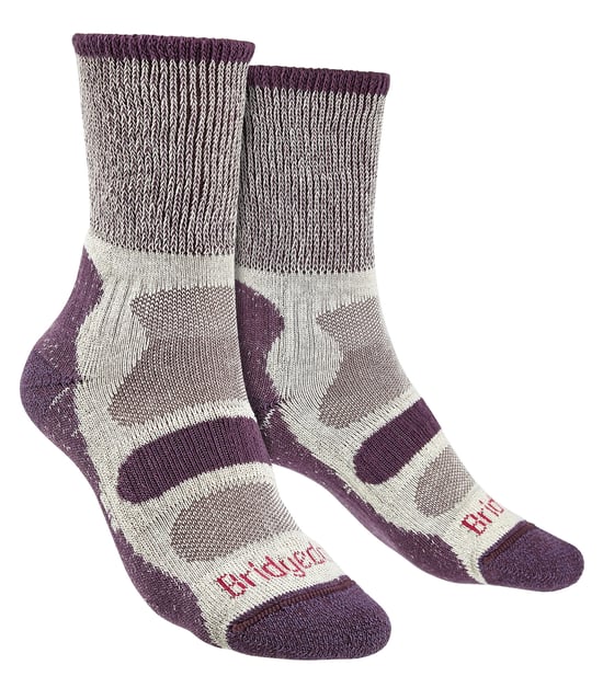 Bridgedale - Womens Wandern leichte Baumwolle Boot Socken - Pflaume - Image 1