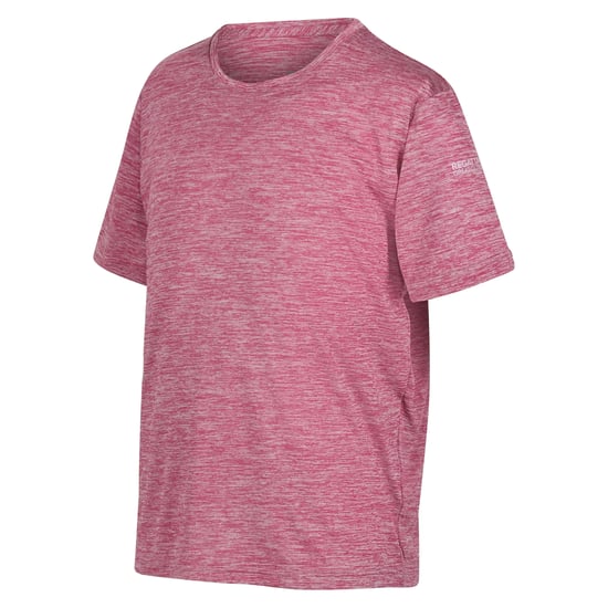 Regatta Childrens/Kids Fingal T-Shirt (Fragrant Lilac)