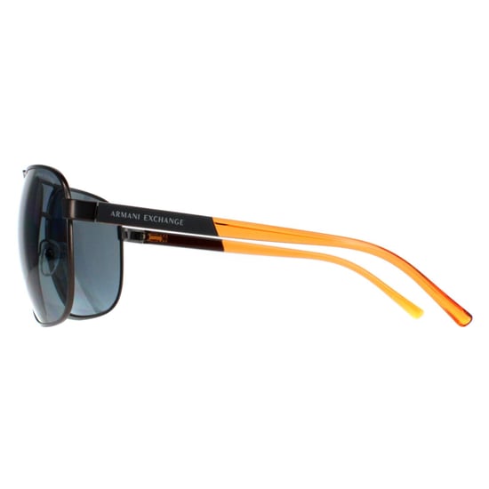 Armani Exchange Aviator Unisex Grey  Grey Polarized AX2040S