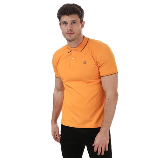 Polo - Image 1