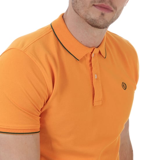 Polo - Image 3