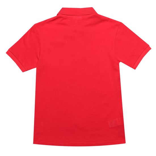 Polo - Image 2