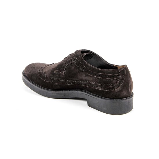 V 1969 Italia Womens Brogue Shoe B1670 VELOUR T. MORO