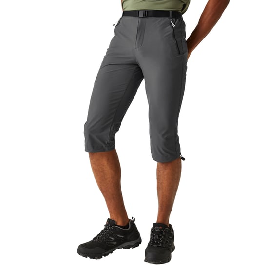 Regatta - "Xert Stretch III" Capri Shorts für Herren - Aktiv (Mittelgrau) - Image 4