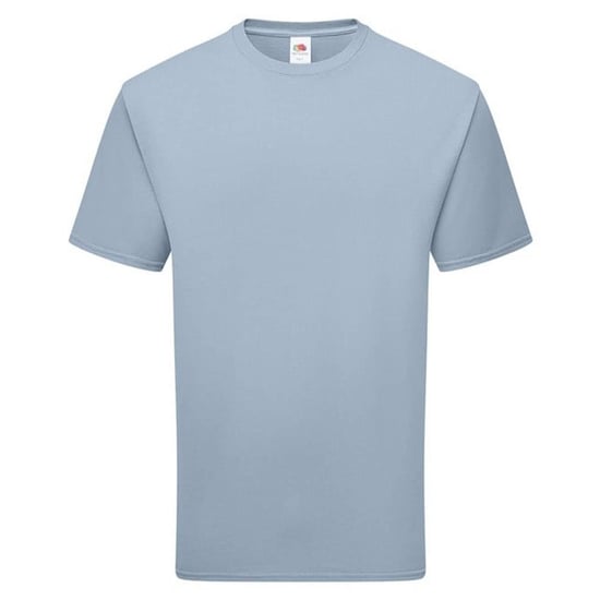 Fruit of the Loom - T-Shirt für Herren/Damen Unisex (Graublau) - Image 1