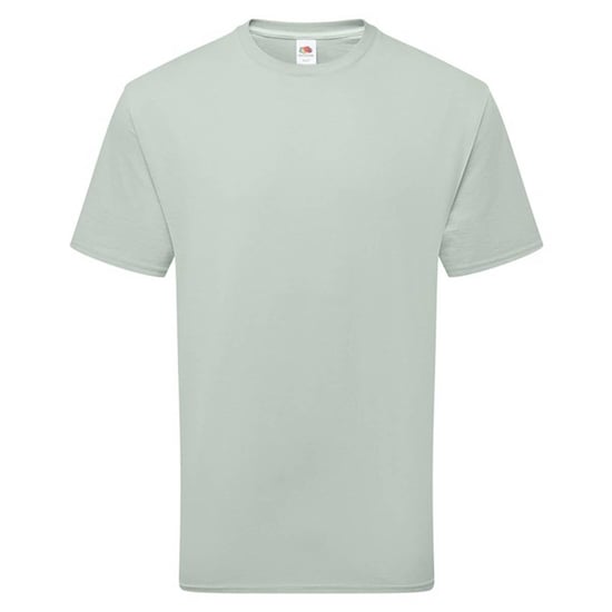 Fruit of the Loom - T-Shirt für Herren/Damen Unisex (Salbei) - Image 1