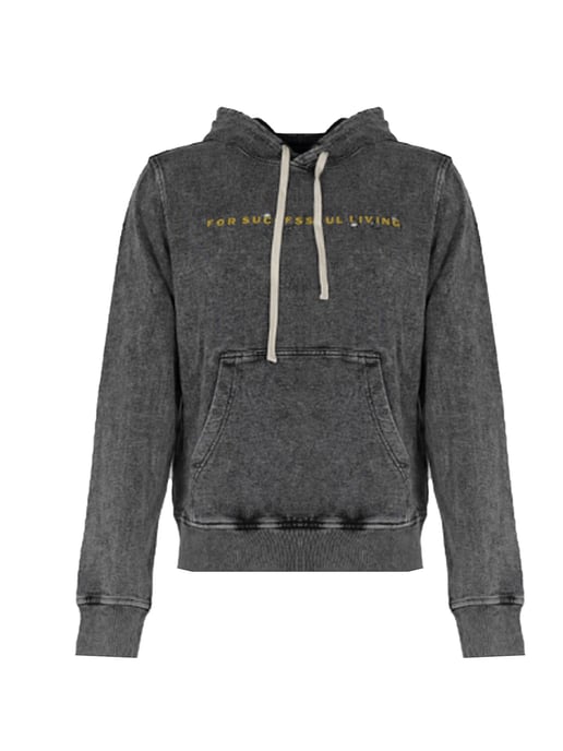 Diesel Sweatshirt Ginn Hood Herren grau - Image 2
