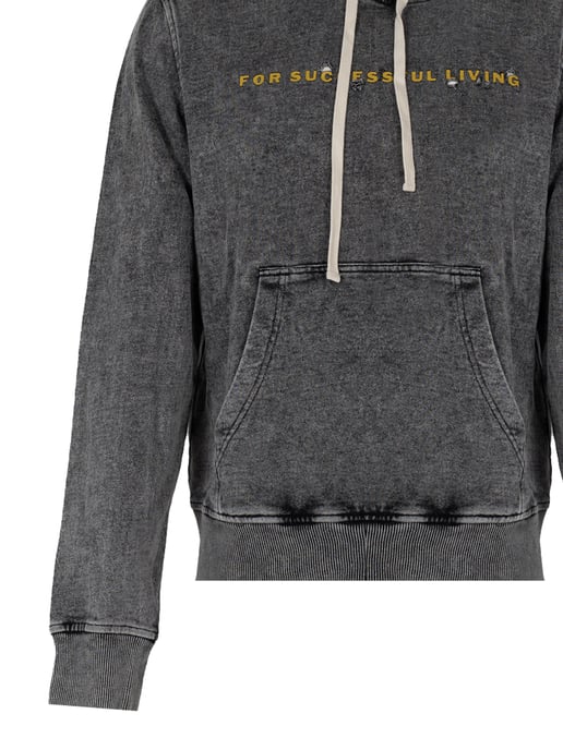 Diesel Sweatshirt Ginn Hood Herren grau - Image 3