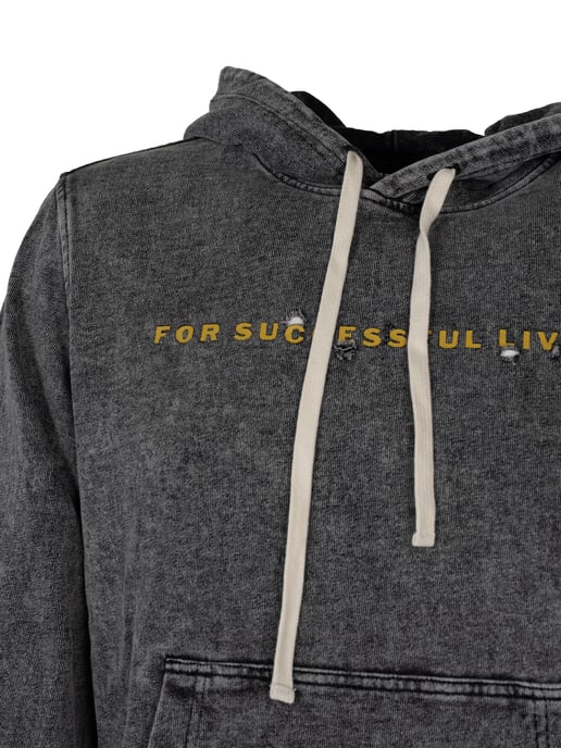Diesel Sweatshirt Ginn Hood Herren grau - Image 4