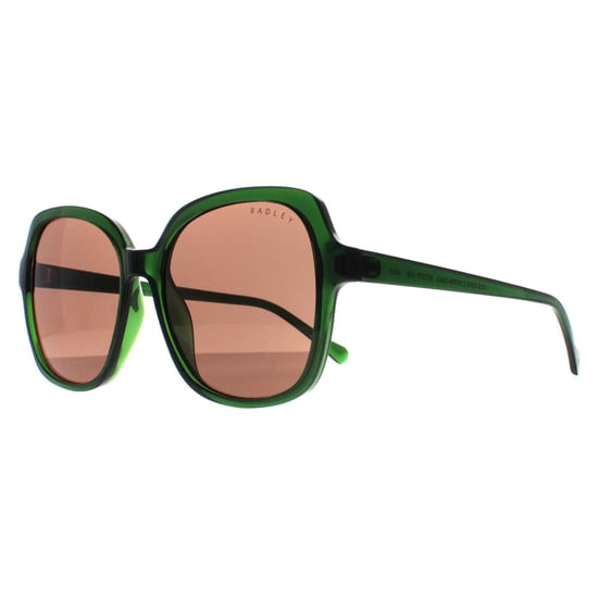 Radley Square Womens Transparent Dunkelgrün Braun Phoenix 6505 - Image 3