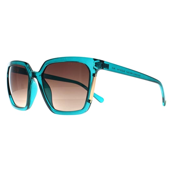 Radley Square Womens Transparent Blau Braun RDS 6506 - Image 3