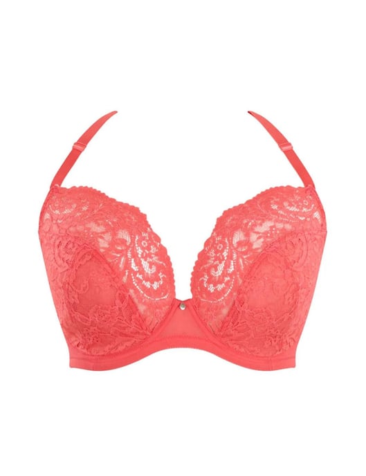 Addison Plunge Bra - Image 4