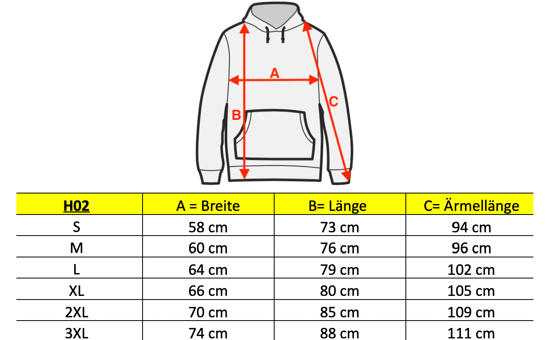 Herren Wandern Kapuzenpullover H06 mit Reißverschluss mit Logo Hellgrau - Image 6