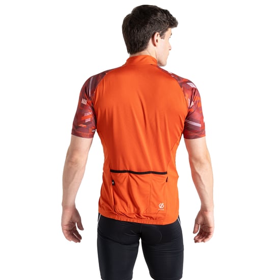 Dare 2B - Trikot für Herren - Reiten (Zimt) - Image 2