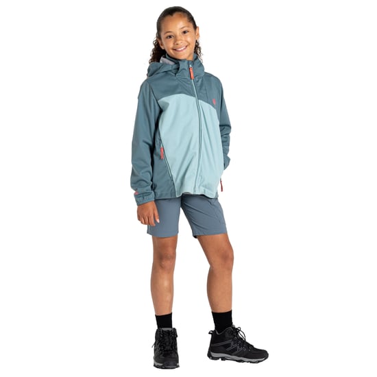 Dare 2B - "Explore" Softshelljacke für Kinder (Grau/Grundwasserleiter) - Image 4
