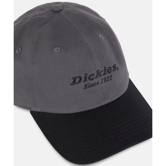 Dickies Everyday Dickies Twill Baumwolle Unisex Erwachsene Graue Baseballmützen - Image 3