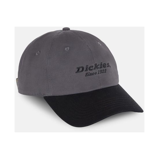 Dickies Everyday Dickies Twill Baumwolle Unisex Erwachsene Graue Baseballmützen - Image 4