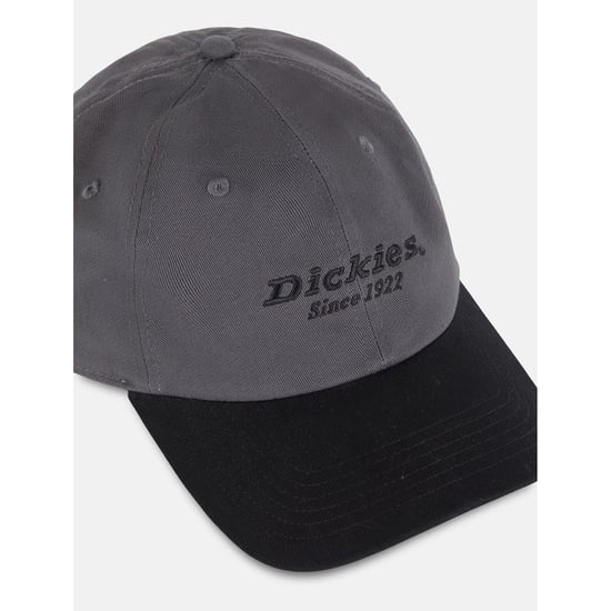 Dickies Everyday Dickies Twill Baumwolle Unisex Erwachsene Graue Baseballmützen - Image 5