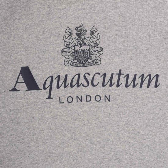 Aquascutum Active - Hellgrauer Hoodie mit großem Logo - Image 3