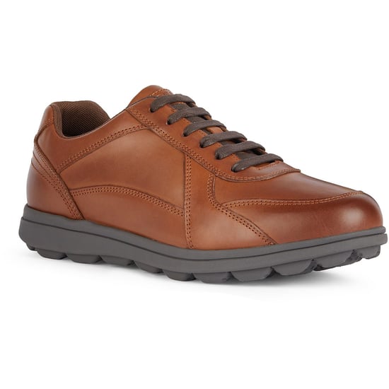 Geox U SPHERICA EC12 Leder Bovine Vollnarben Herren Cognac Sneaker - Image 1