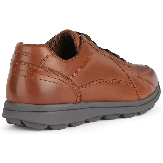 Geox U SPHERICA EC12 Leder Bovine Vollnarben Herren Cognac Sneaker - Image 2