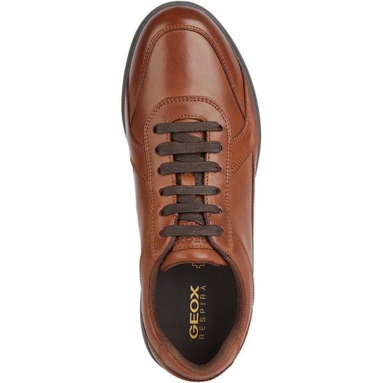 Geox U SPHERICA EC12 Leder Bovine Vollnarben Herren Cognac Sneaker - Image 4