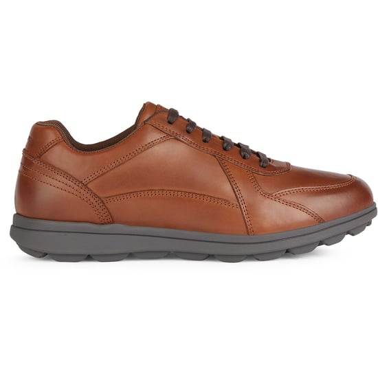 Geox U SPHERICA EC12 Leder Bovine Vollnarben Herren Cognac Sneaker - Image 5