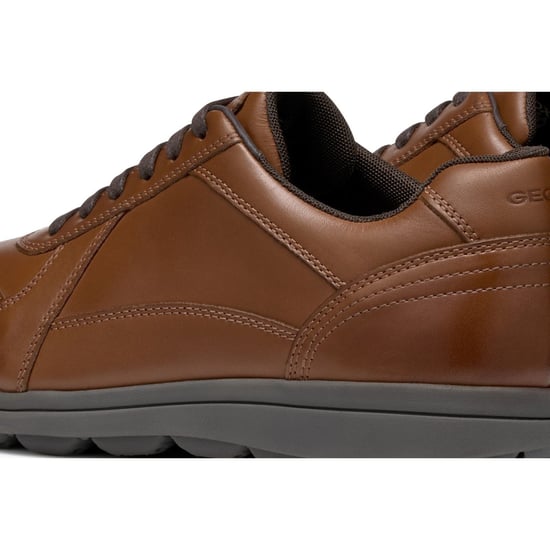 Geox U SPHERICA EC12 Leder Bovine Vollnarben Herren Cognac Sneaker - Image 6
