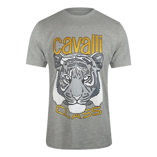 Cavalli Class - T-shirt In Grau Mit Kräftiger Tiger-grafik - Image 1