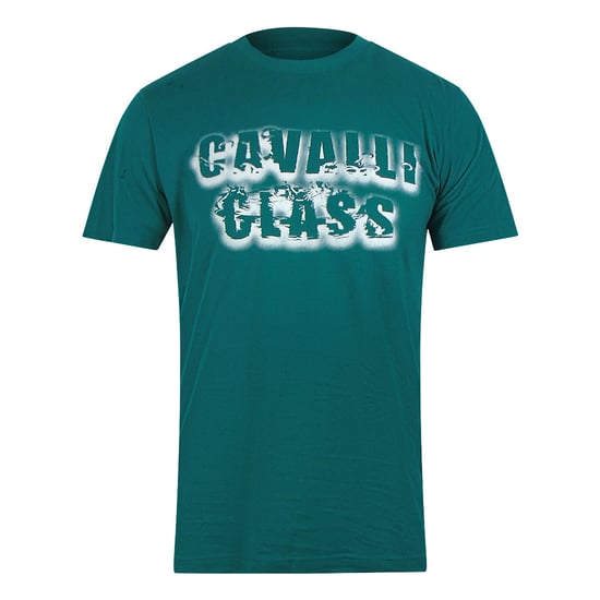 Cavalli Class - T-shirt In Rauchgrün Mit Auffälligem Logo - Image 1