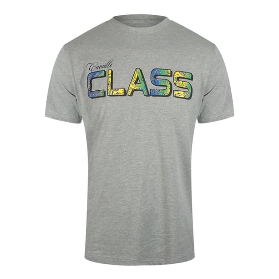 Cavalli Class - Graues T-shirt Mit Leuchtendem Blumenlogo - Image 1