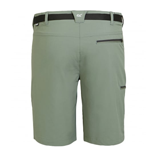 Regatta - "Xert III" Shorts für Herren (Agaven-Grün) - Image 2